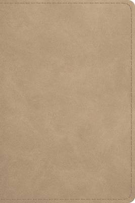 ESV Beholding Christ Bible