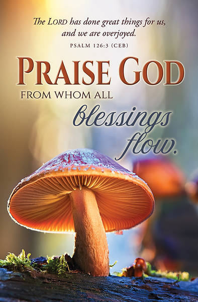 Picture of Praise God From Whom Fall Bulletin