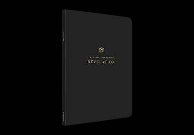 Picture of ESV Scripture Journal