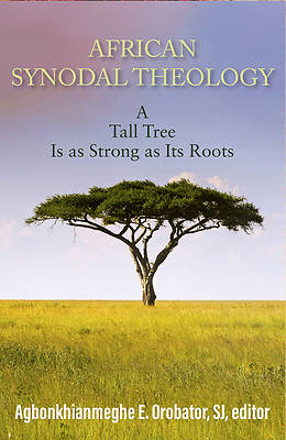 Picture of African Synodal Theology