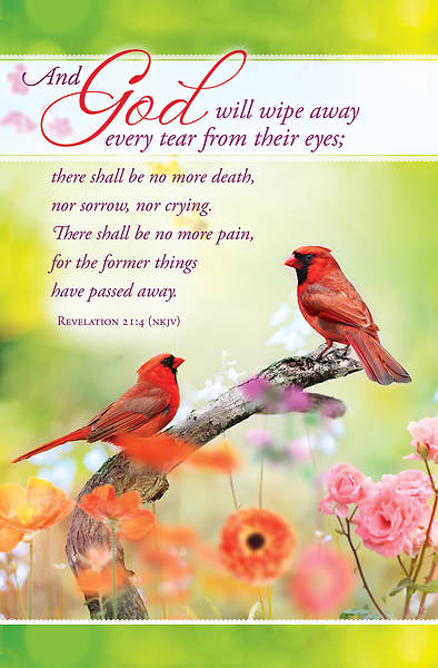 Picture of Wipe Away Every Tear Funeral Regular Size Bulletin