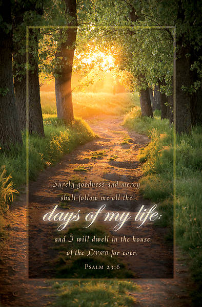 Picture of Days of My Life Funeral Regular Size Bulletin