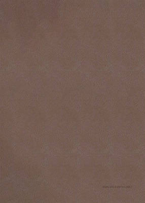 Picture of The Barbour Simplified KJV Bible--Deluxe Edition [Brown & Rose Floral Inset]