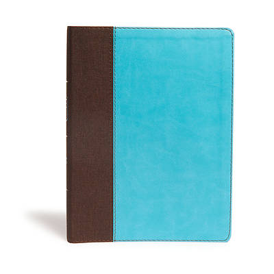 Picture of CSB Life Essentials Study Bible, Brown/Sky Leathertouch