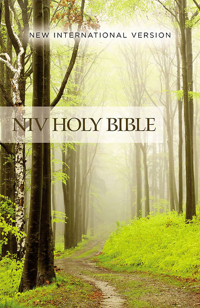 Picture of NIV Outreach Bible