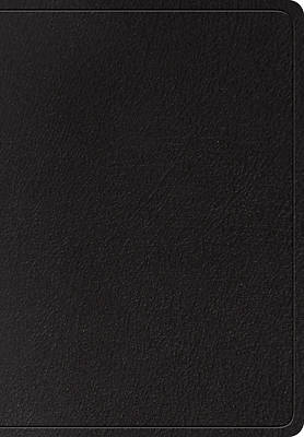 Picture of ESV Super Giant Print Bible (Black)