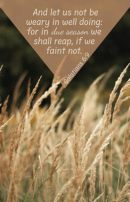 Picture of In Due Season Worship Bulletin PKG 100