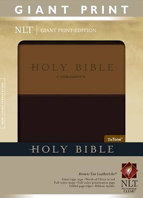 Picture of New Living Translation Holy Bible, Giant Print