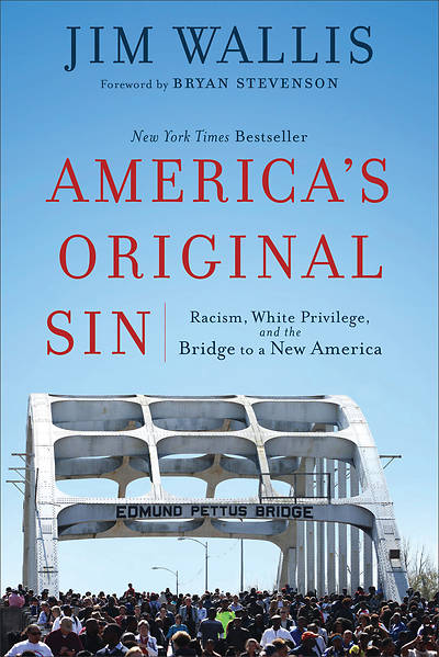 Picture of Reader's Guide for America's Original Sin PDF Download