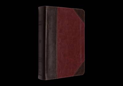 Picture of ESV Reader's Bible (Trutone, Brown/Cordovan, Portfolio Design)