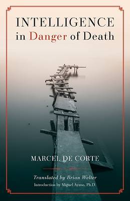 Picture of Intelligence in Danger of Death (English edition)