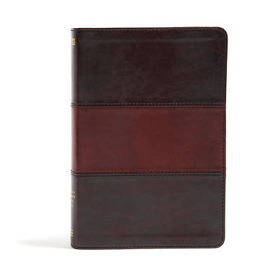 Picture of NIV Rainbow Study Bible