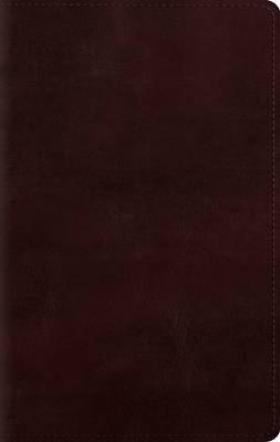Picture of ESV Giant Print Personal Size Bible, Red Letter (Trutone, Mahogany)
