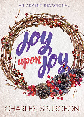 Picture of Joy Upon Joy