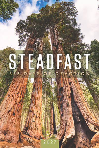 Picture of Steadfast 2027 - eBook [ePub]
