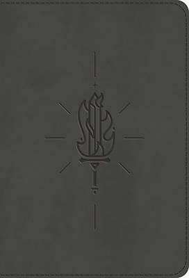 Picture of ESV Kid's Bible, Compact (Trutone, Sword of the Spirit)