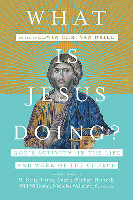 Picture of What Is Jesus Doing?