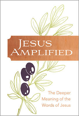 Picture of Jesus Amplified