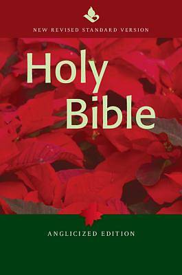 Picture of NRSV Popular Text Edititon