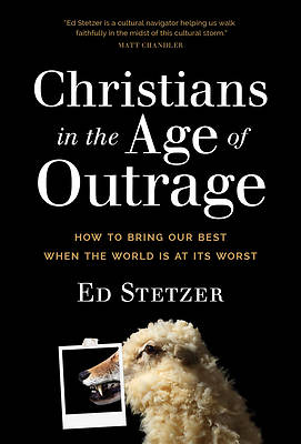 Picture of Christians in the Age of Outrage