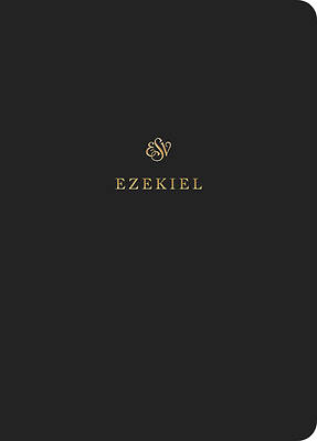 Picture of ESV Scripture Journal