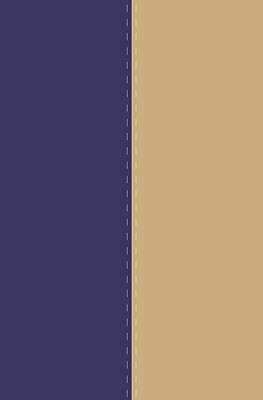 Picture of NVI / NIV Spanish/English Bible Blue Duotone Leather