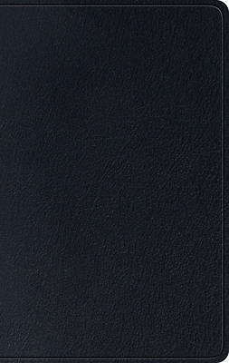 Picture of ESV Single Column Thinline Bible (Black)