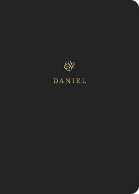 Picture of ESV Scripture Journal