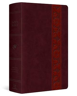 Picture of ESV Giant Print Personal Size Bible, Red Letter (Trutone, Mahogany, Trellis Design)