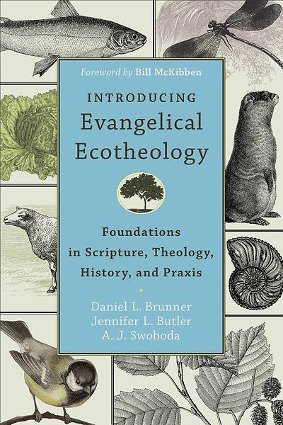 Picture of Introducing Evangelical Ecotheology