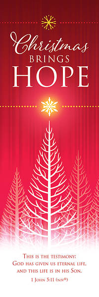 Picture of Christmas Brings Hope Bookmark 1 John 5:11 NIV