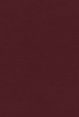 Picture of Niv, Kjv, Nasb, Amplified, Parallel Bible, Bonded Leather, Burgundy