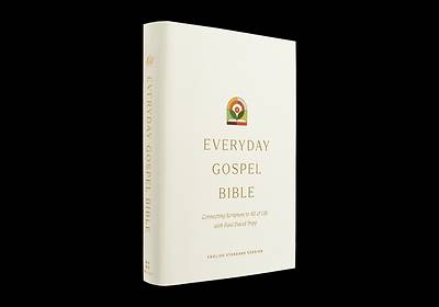 Picture of ESV Everyday Gospel Bible