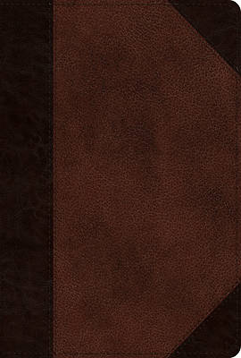 Picture of ESV New Testament (Trutone, Brown/Walnut, Portfolio Design)