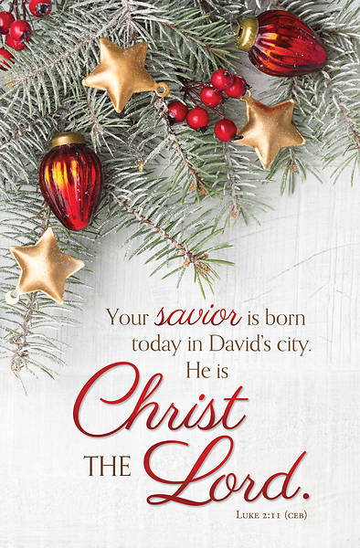 Picture of Christ the Lord Christmas Bulletin Regular