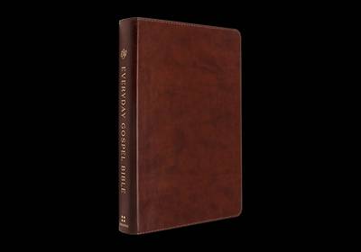 Picture of ESV Everyday Gospel Bible