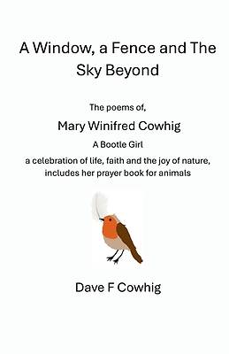 A Window, a Fence and The Sky Beyond