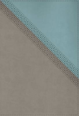 Picture of NIV Application Bible, Leathersoft, Teal/Grey, Red Letter, Comfort Print