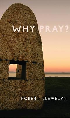 Picture of Why Pray? - eBook [ePub]