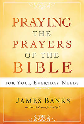 Picture of Praying the Prayers of the Bible for Your Everyday Needs