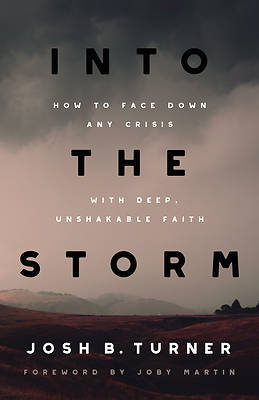 Picture of Into the Storm