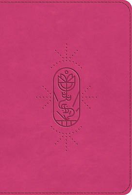 Picture of ESV Kid's Bible, Compact (Trutone, Berry, the True Vine Design)