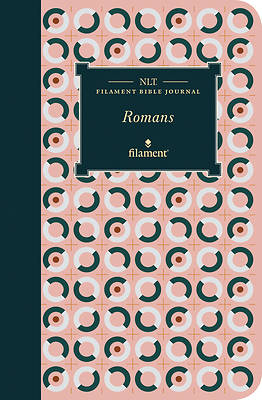 Picture of NLT Filament Bible Journal