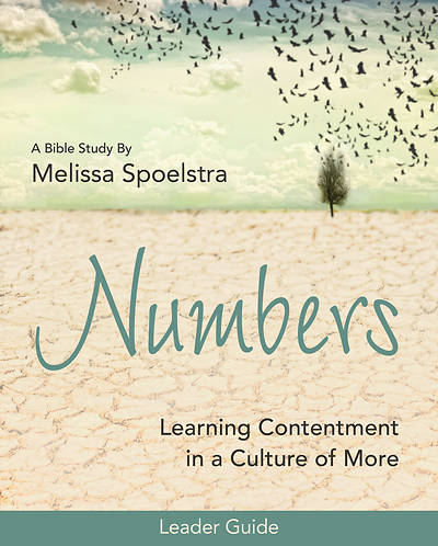 Picture of Numbers - Women's Bible Study Leader Guide