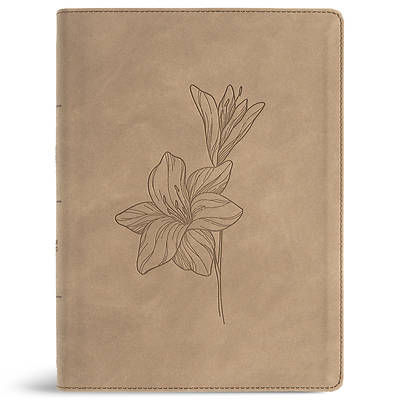 Picture of CSB Verse-By-Verse Reference Bible, Digital Study Edition, Earth Suedesoft Leathertouch