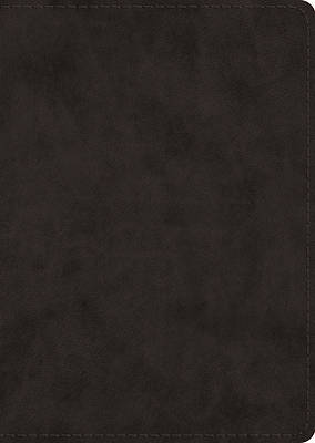 Picture of ESV Study Bible, Large Print (Trutone, Black)