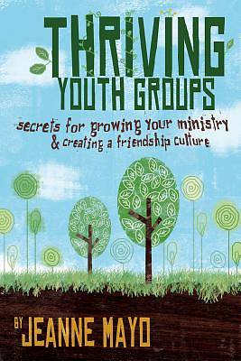 Picture of Thriving Youth Groups