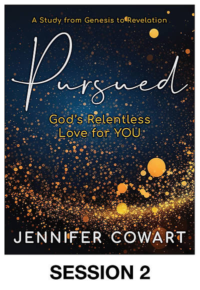 Picture of Pursued Streaming Video Session 2