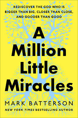 Picture of A Million Little Miracles