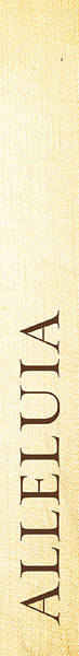 Picture of Alleluia Lily Easter Linen Series Bible Bookmark